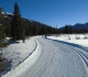Bill Milne trail