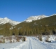 Bill Milne trail