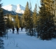 Bill Milne trail