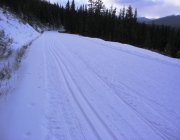 Tracksetting had already occurred on Nov 2, 2009 on Moraine Lake Road