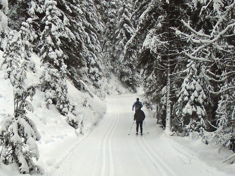 Elk Pass