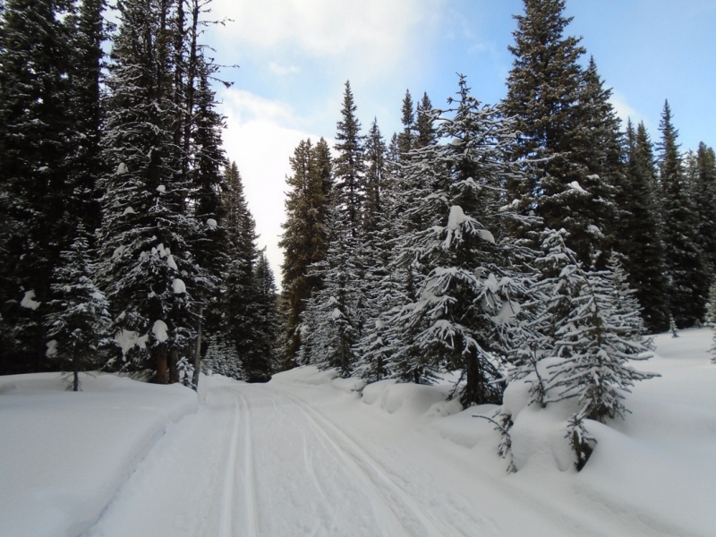 Elk Pass