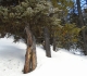 Elk Pass