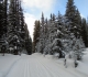 Elk Pass