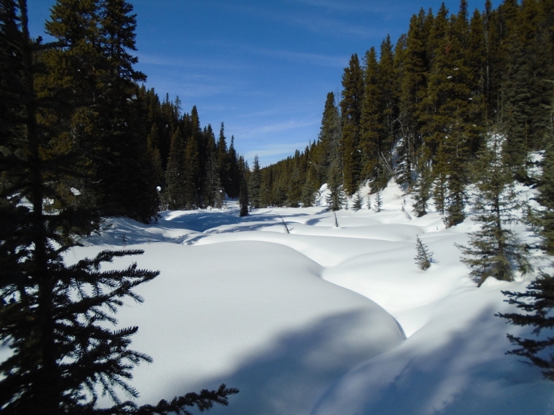 Elk Pass