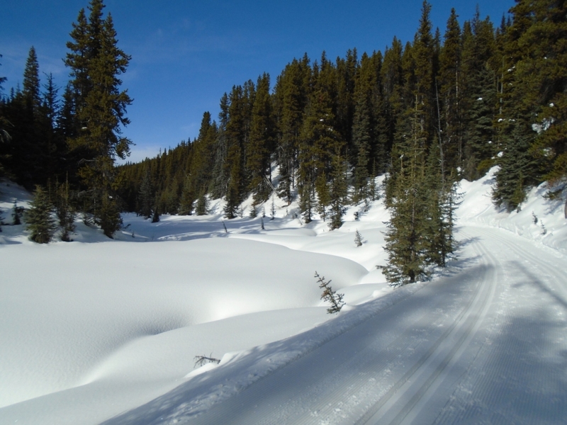 Elk Pass