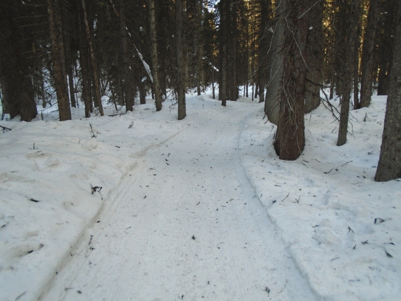 Fox Creek