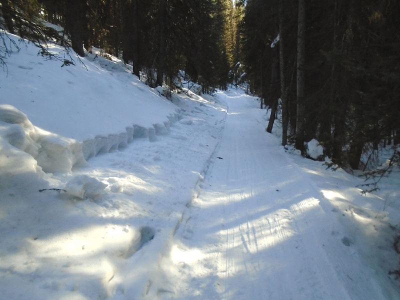 Fox Creek