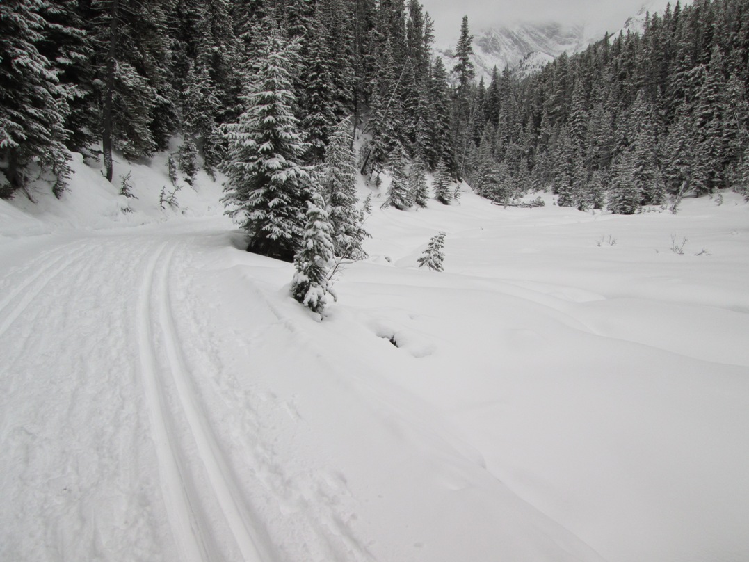 Elk pass