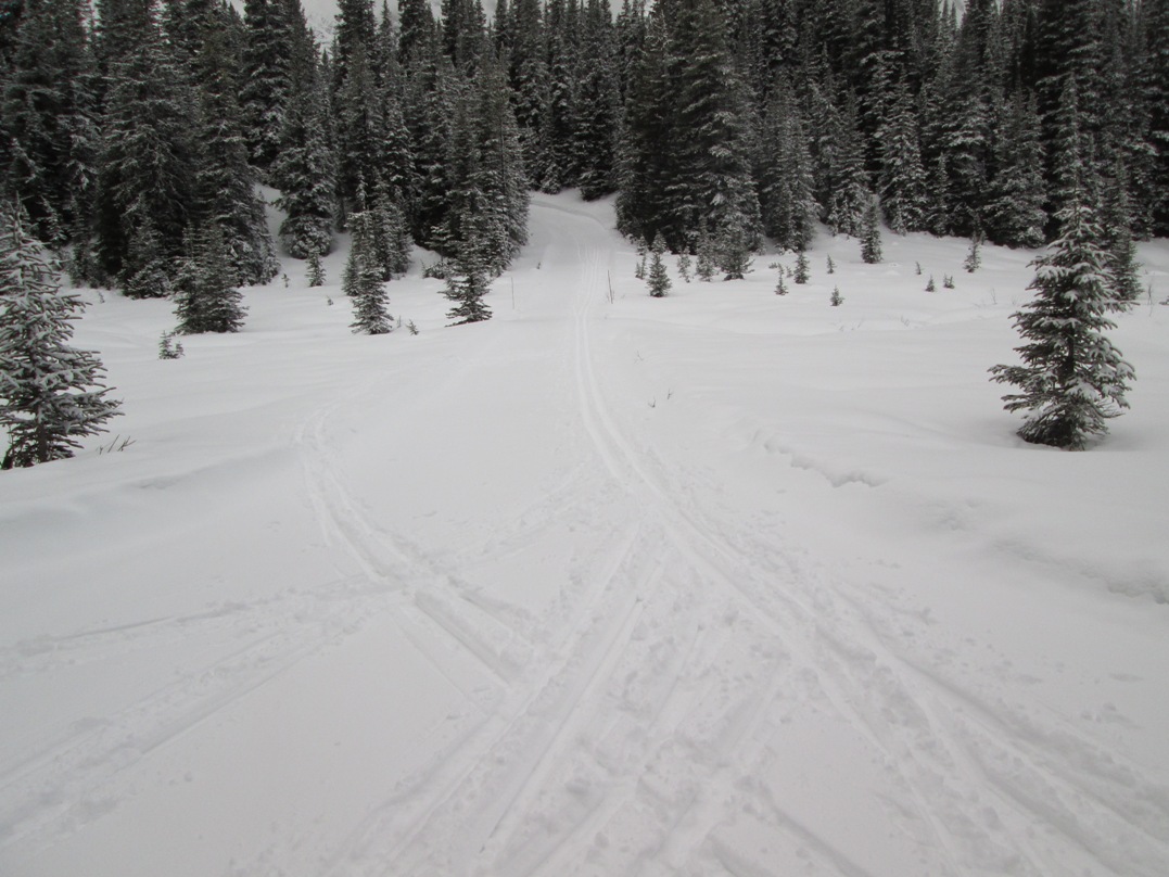 Elk pass and Blueberry Hill junction