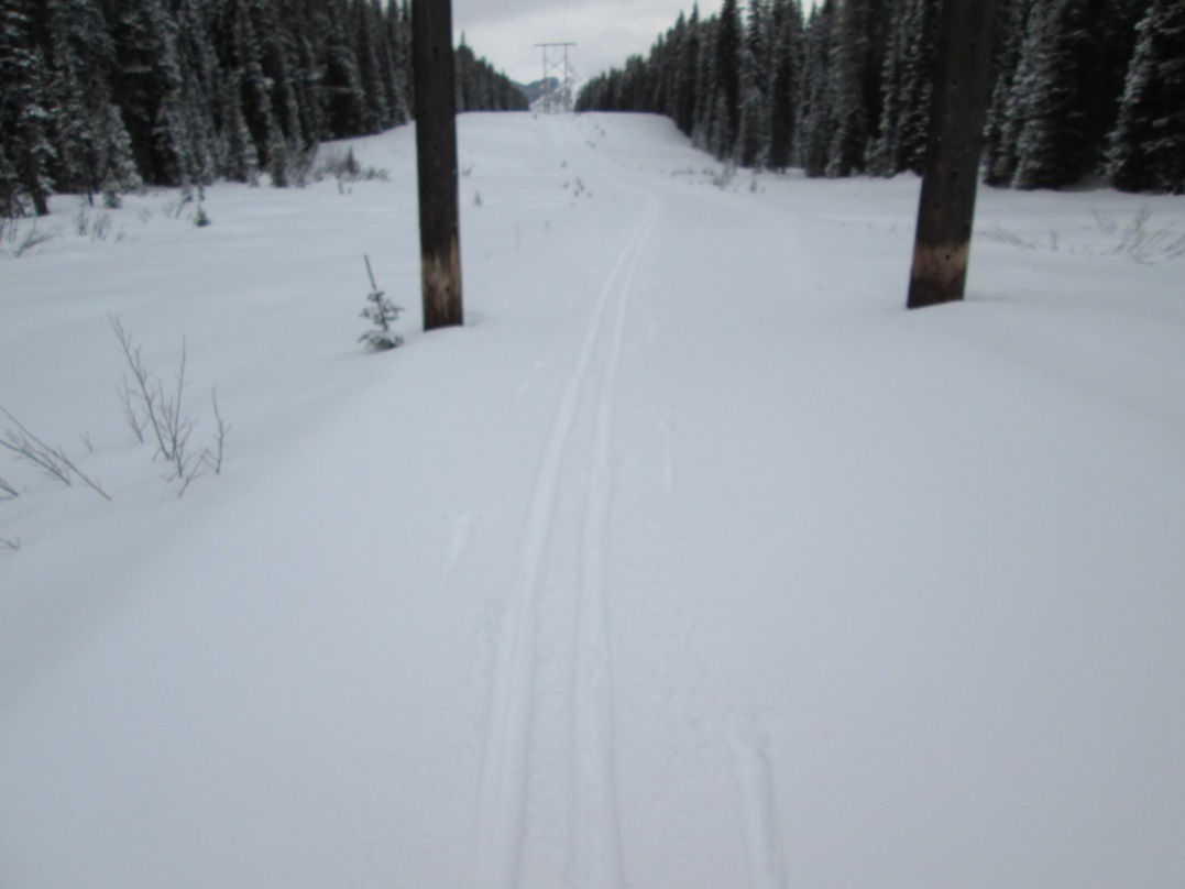 Hydroline
