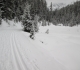 Elk pass