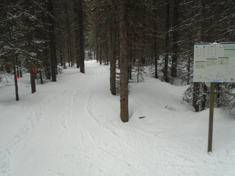 Moraine