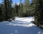 Upper lake trail
