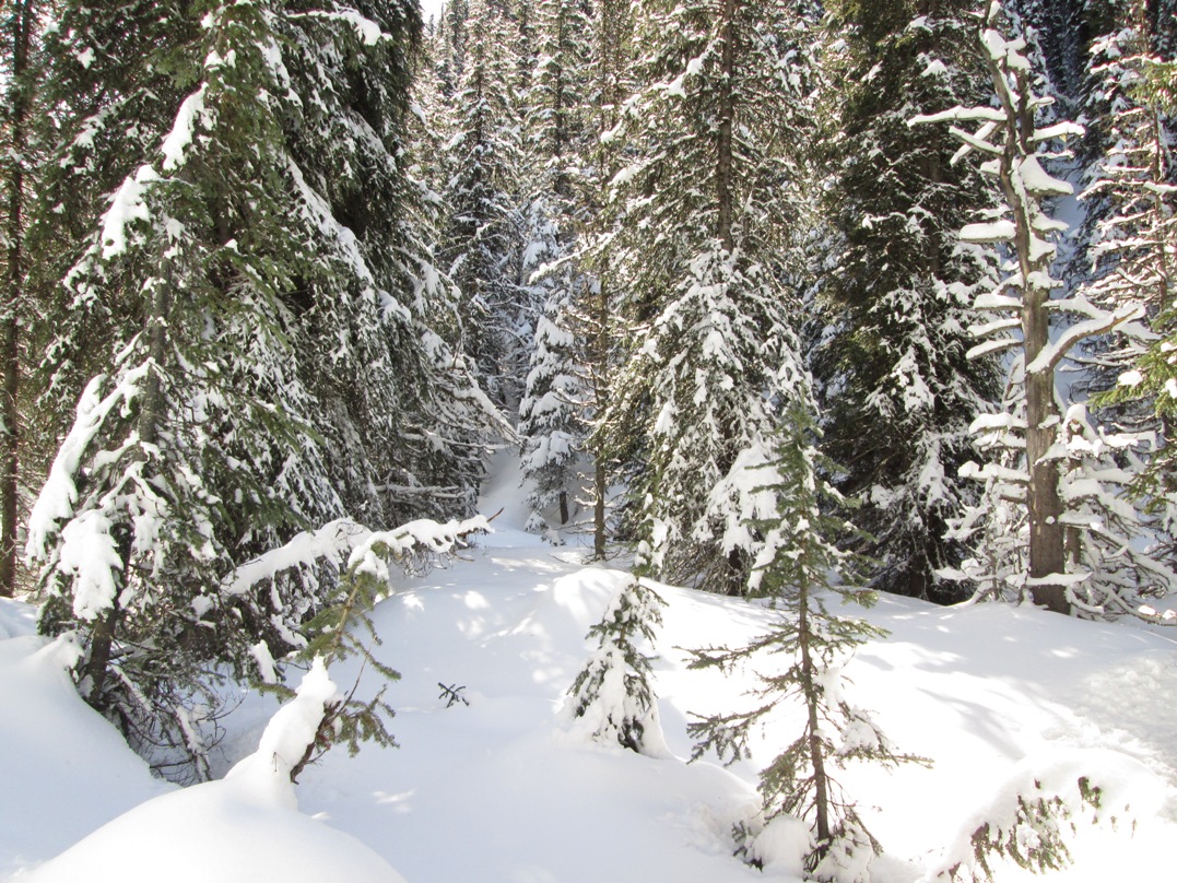 Elk Pass