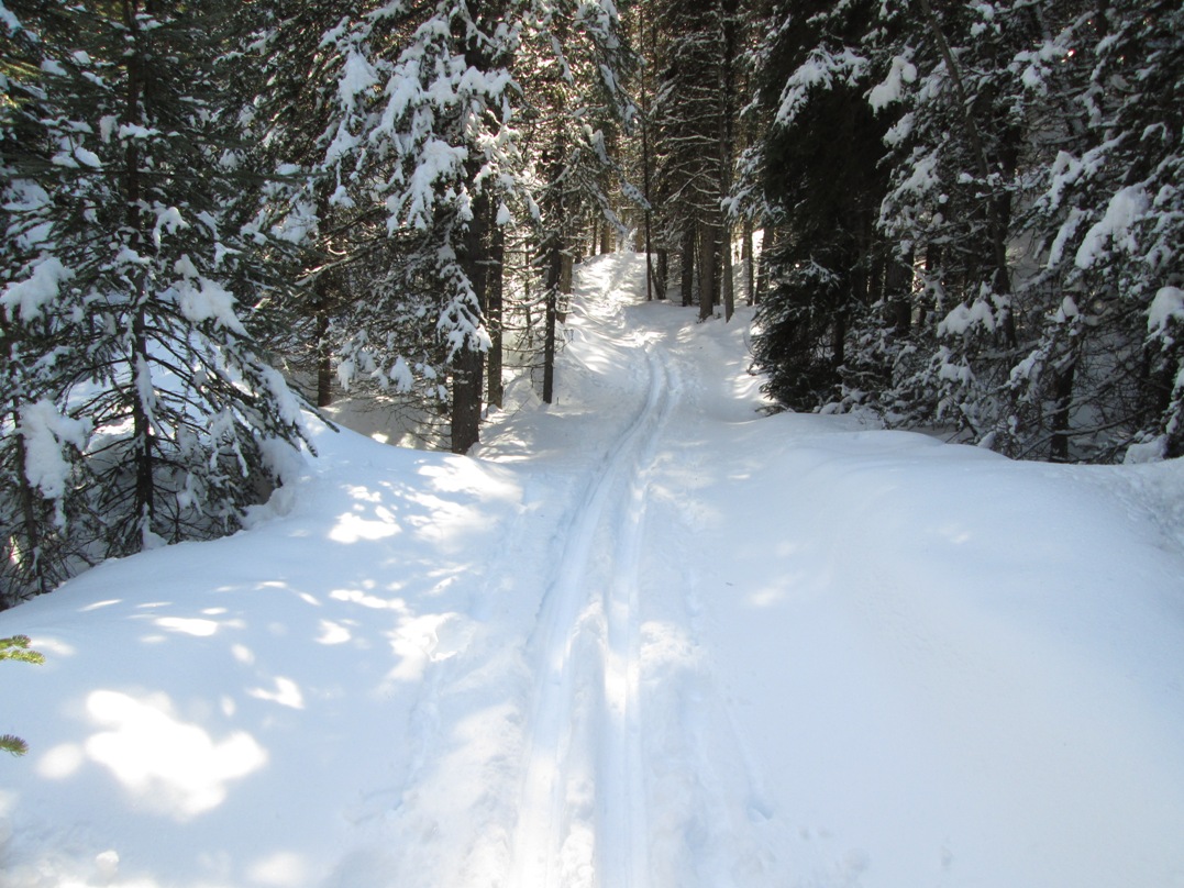 Fox Creek