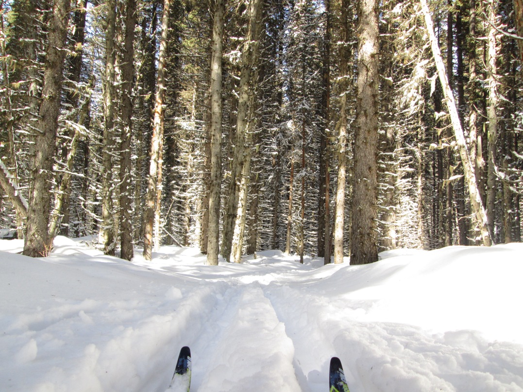 Fox Creek