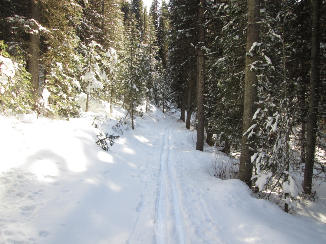 Fox Creek