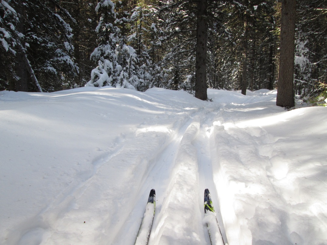 Fox Creek