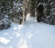 Fox Creek