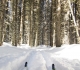Fox Creek