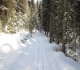 Fox Creek