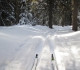 Fox Creek