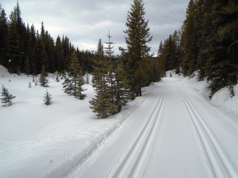 Elk Pass