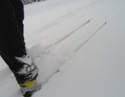 Tyrwhitt had 6 - 8 cm of fresh snow over yesterday\'s tracksetting