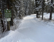 Trail to the upper lake at Elk Pass trailhead