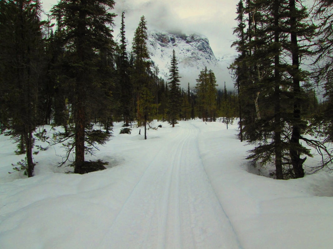 Emerald Lake