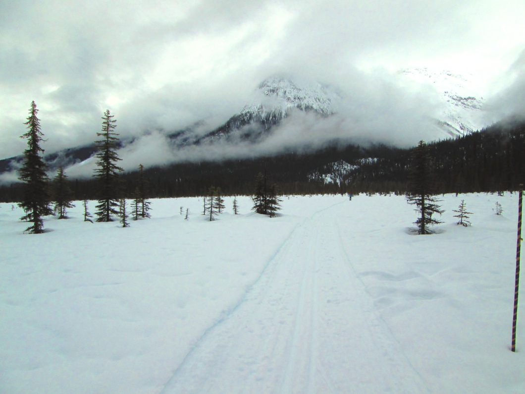 Emerald Lake
