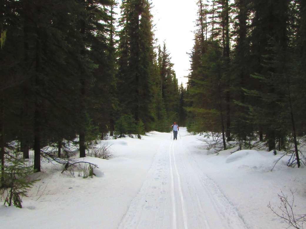 Kicking Horse River