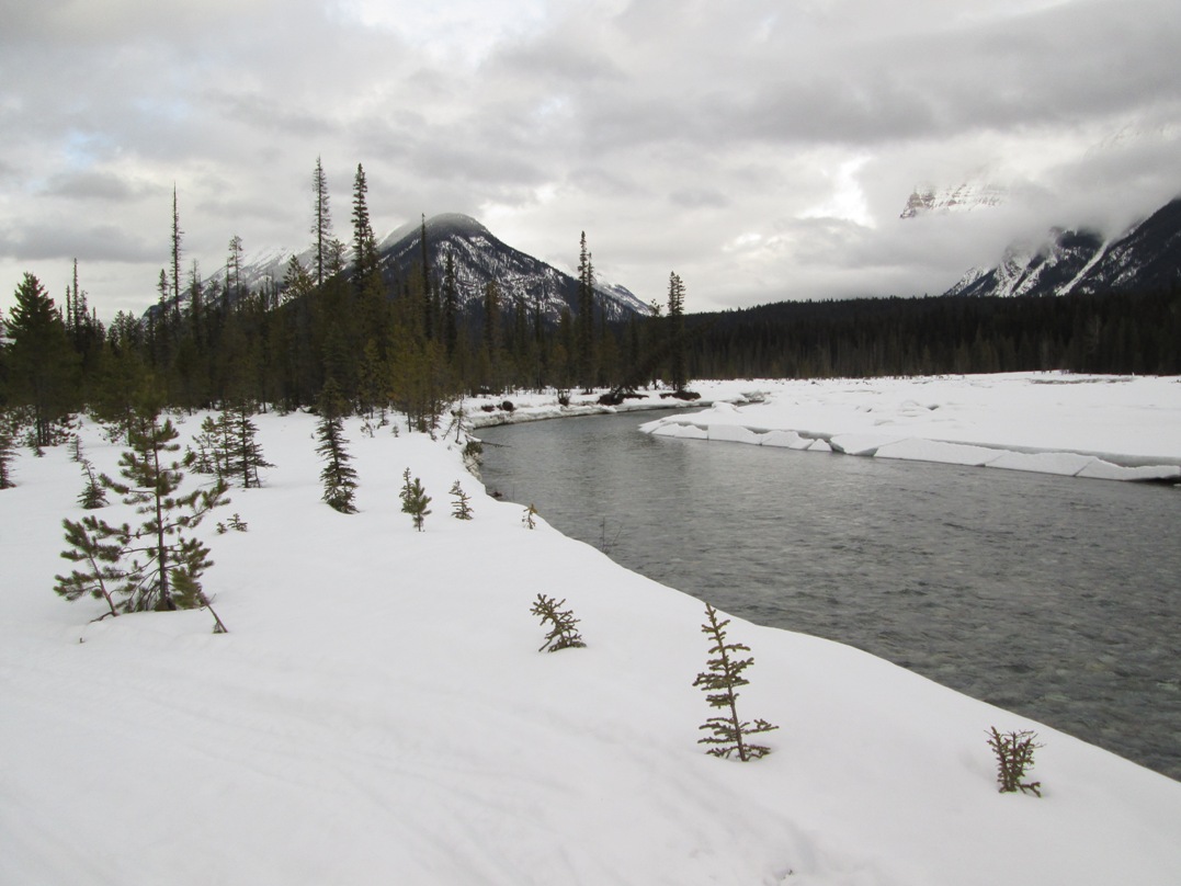 Kicking Horse River