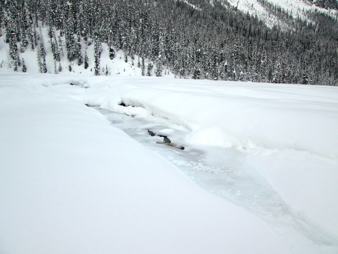 Alluvial fan