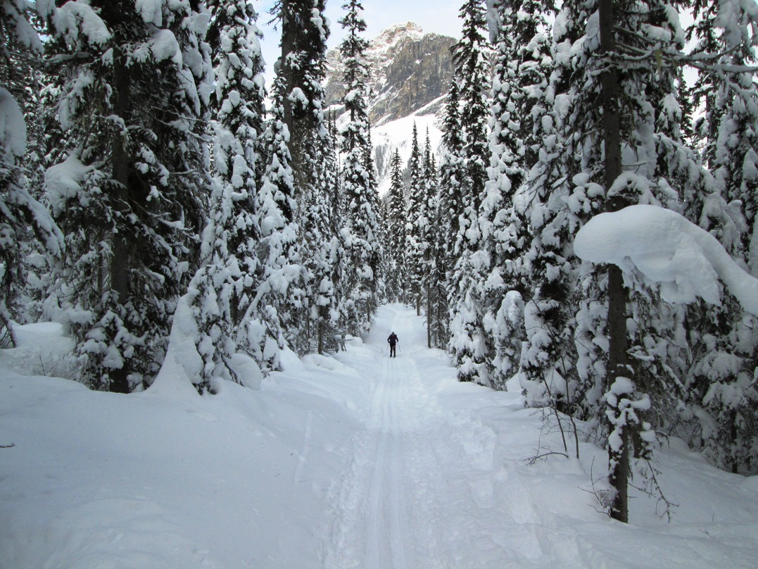 Emerald Lake horse trail