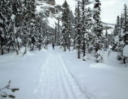 Alluvial fan