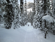 Emerald Lake horse trail