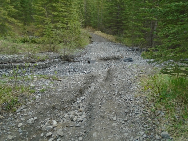 Goat Creek
