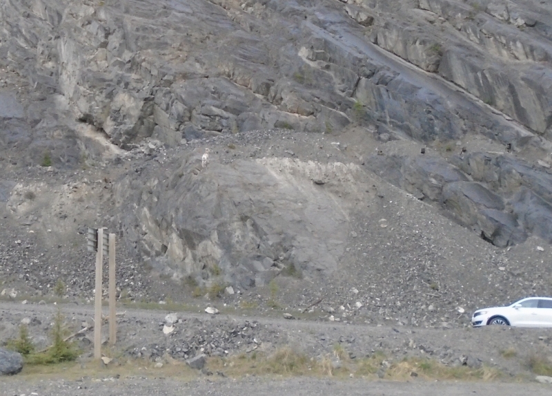 Goat Creek