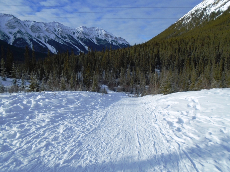 Goat creek