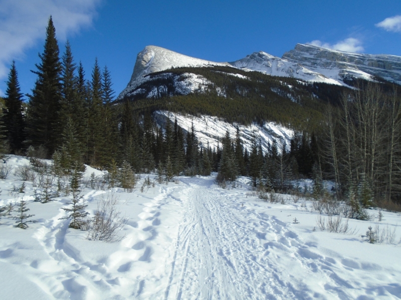 Goat creek
