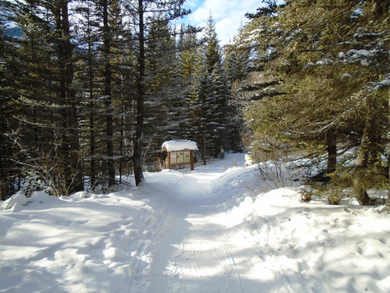 Goat creek
