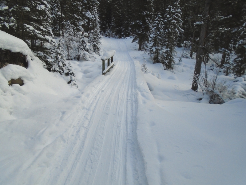 Goat creek