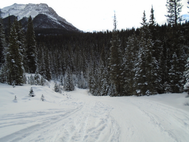 Goat creek