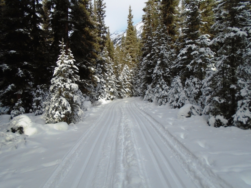 Goat creek