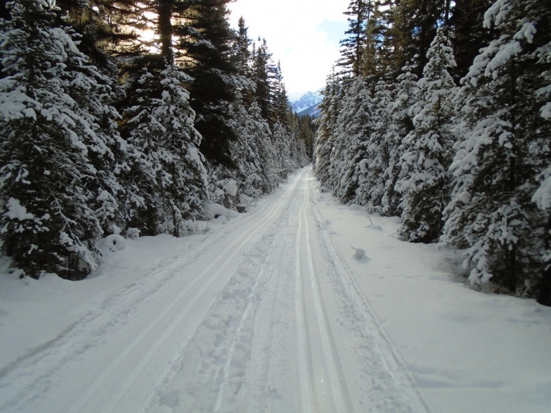 Goat creek