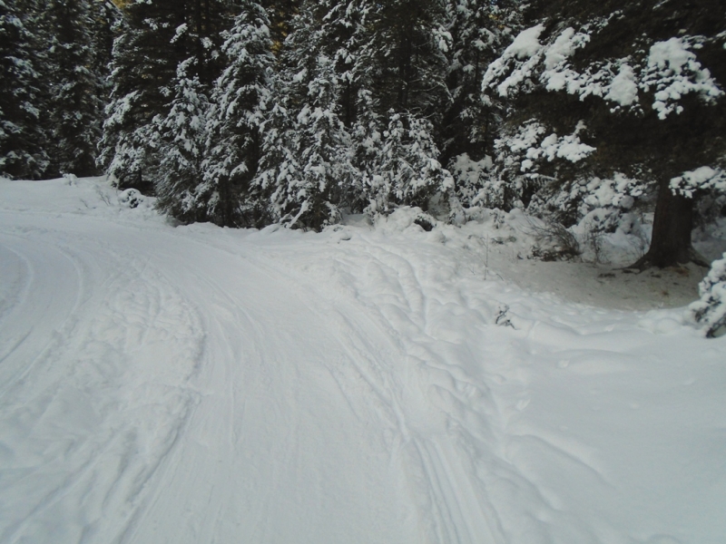 Goat creek