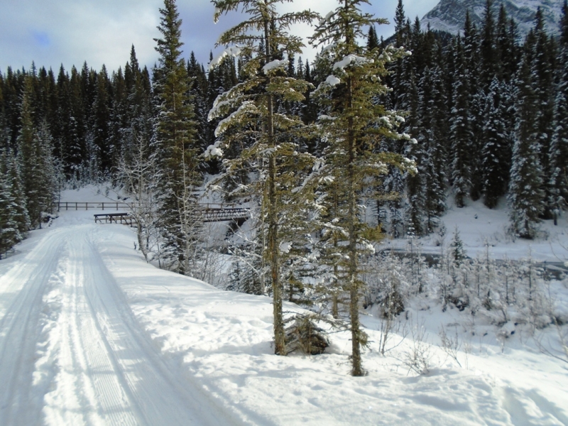 Goat creek