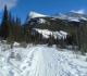 Goat creek